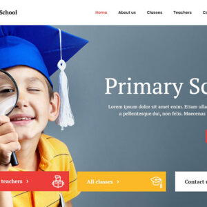 I will design a custom WordPress Website using Elementor
