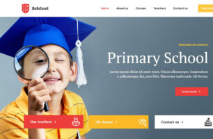 I will design a custom WordPress Website using Elementor